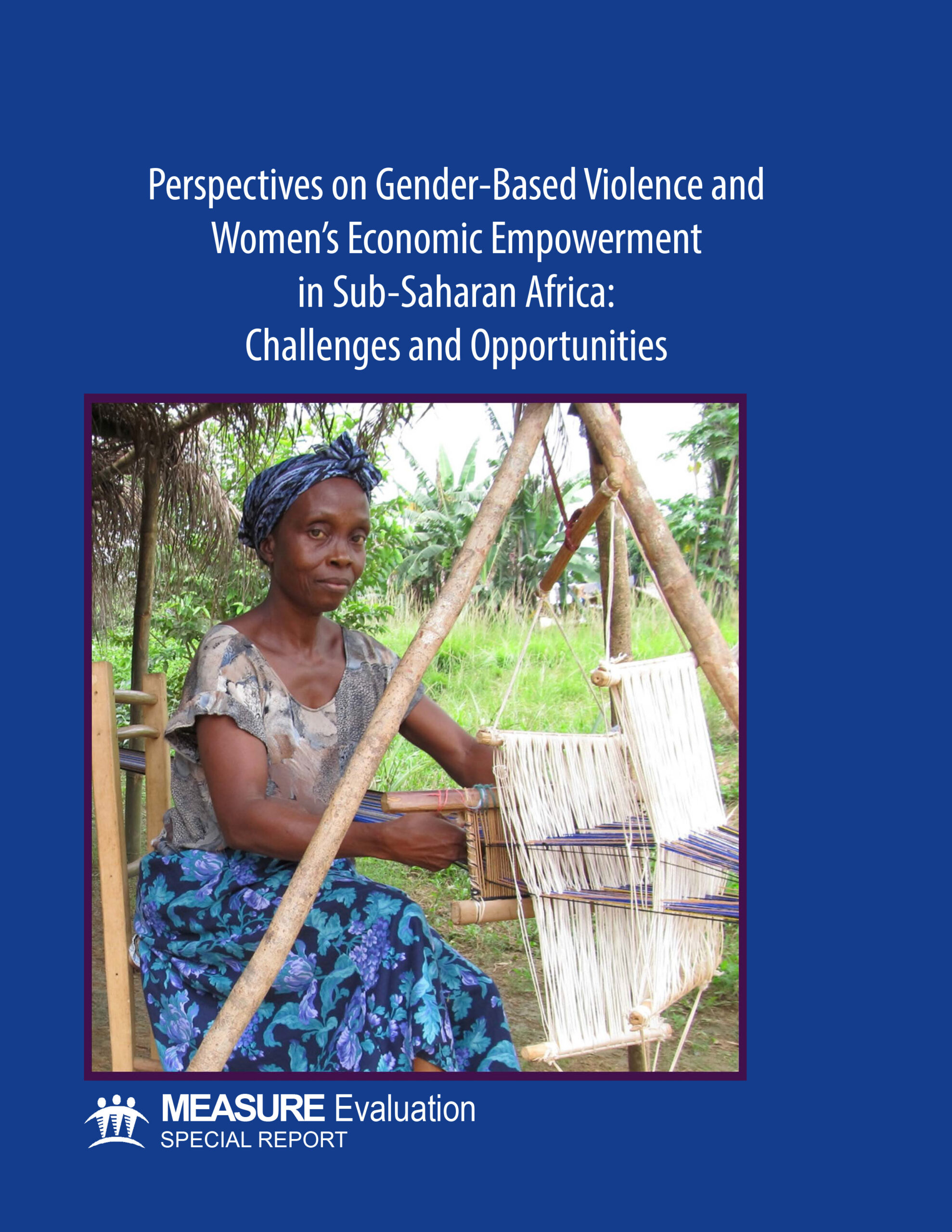 Perspectives on Gender-Based Violence and Womens Economic Empowerment in Sub-Saharan Africa: Challenges and Opportunities