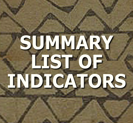 Summary List of Indicators